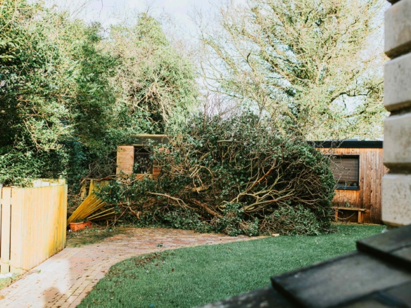 if-your-neighbor’s-tree-falls-on-your-yard,-who-has-to-clean-it-up?-here’s-what-to-know