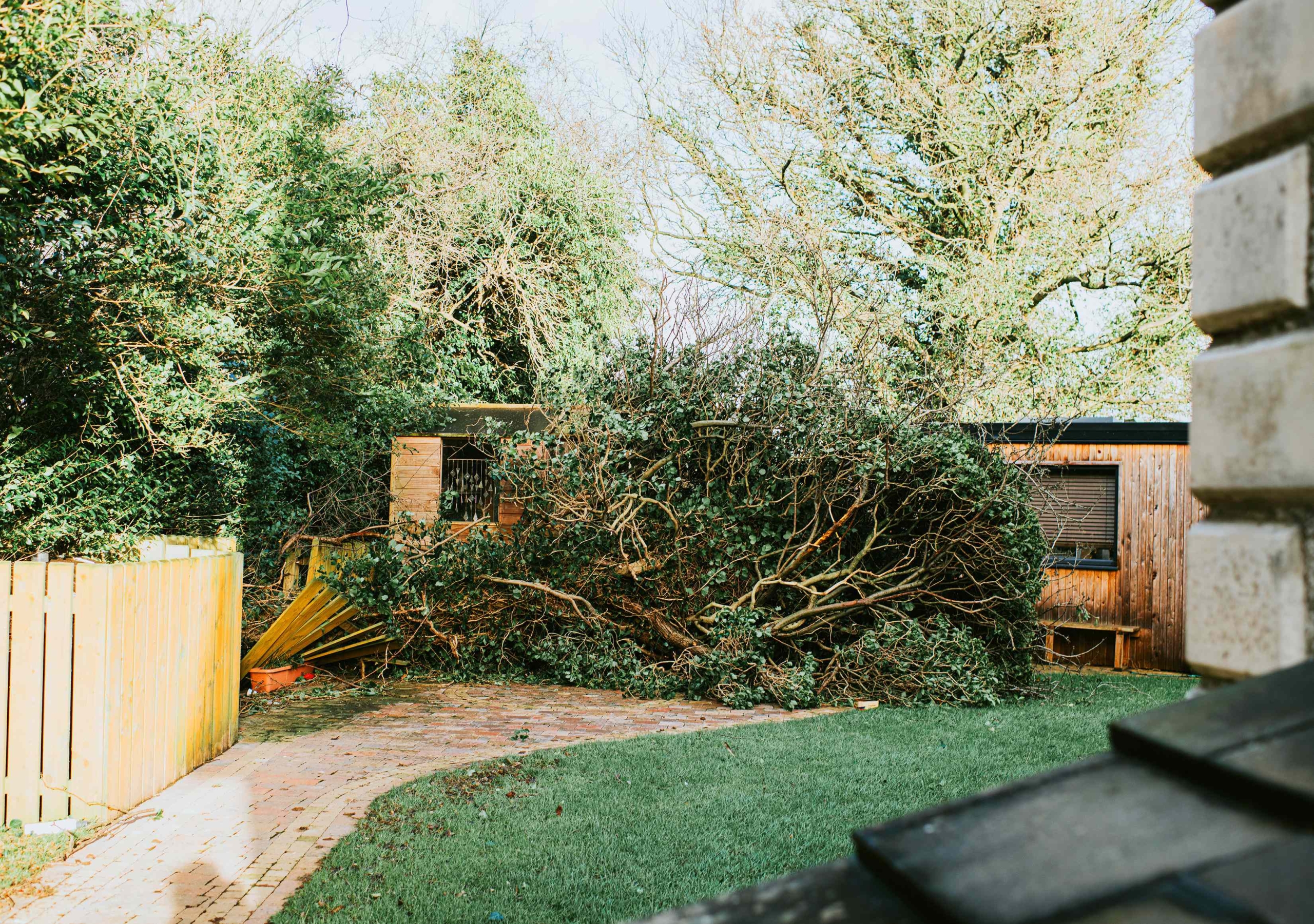 if-your-neighbor’s-tree-falls-on-your-yard,-who-has-to-clean-it-up?-here’s-what-to-know